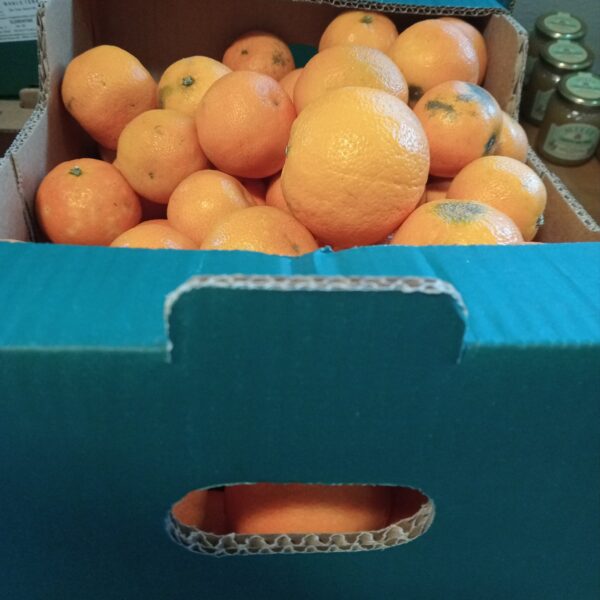 clementine bio cassetta 10 kg.