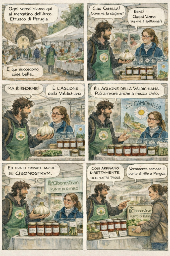 Intervista a Camilla azienda agricola La Camomilla al mercatino dell'Arco Etrusco di Perugia con CiboNostrvm