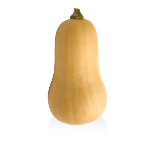 Zucca Butternut biologica fresca